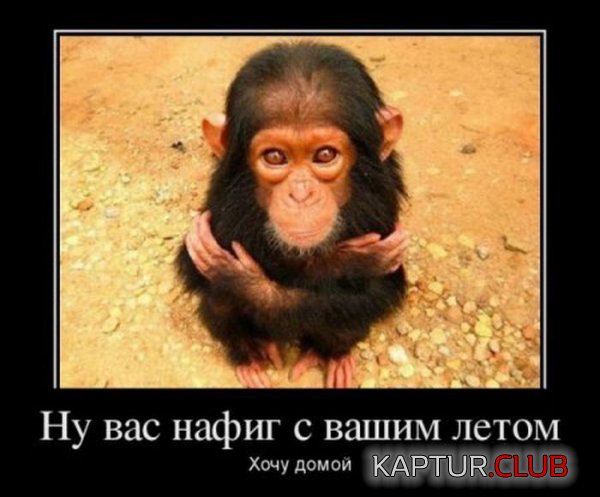 1364459904_demotivatory_17.jpg | Рено Каптур Клуб Россия | Форум KAPTUR.SU