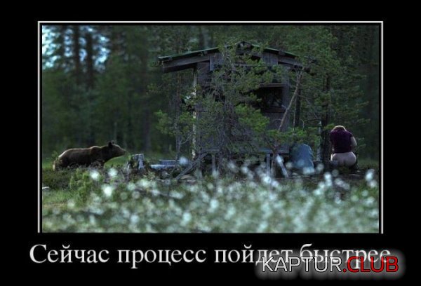 1364978678_demotivatory_14.jpg | Рено Каптур Клуб Россия | Форум KAPTUR.SU