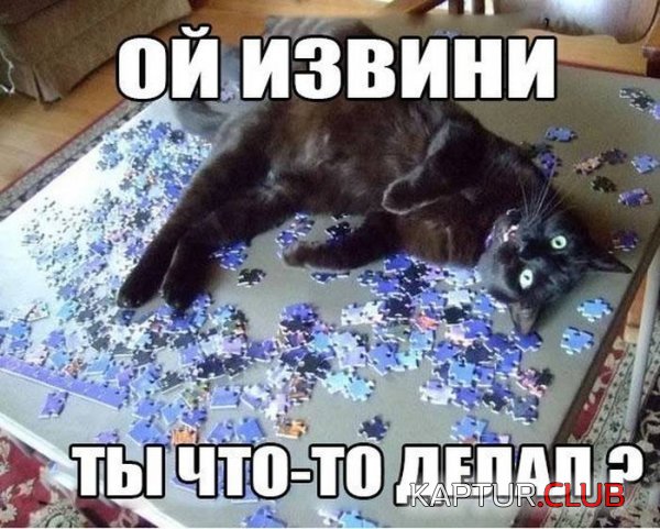 1364978966_podb_02.jpg | Рено Каптур Клуб Россия | Форум KAPTUR.SU