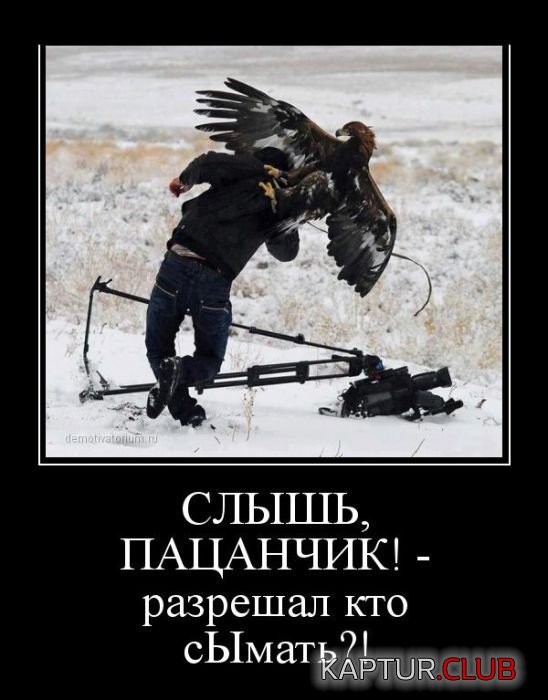 1365068044_demotivatory_09.jpg | Рено Каптур Клуб Россия | Форум KAPTUR.SU