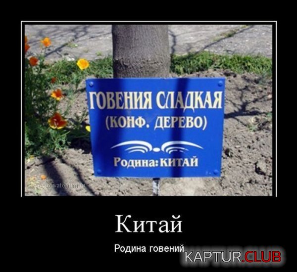 1365068071_demotivatory_17.jpg | Рено Каптур Клуб Россия | Форум KAPTUR.SU