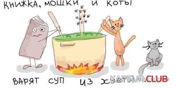 13651152.jpg | Рено Каптур Клуб Россия | Форум KAPTUR.SU