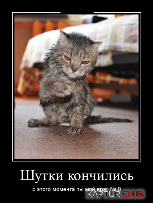 1365586082_demotivatory_03.jpg | Рено Каптур Клуб Россия | Форум KAPTUR.SU