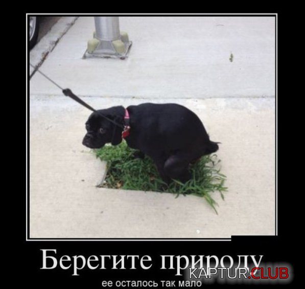 1365671896_demotivatory_07.jpg | Рено Каптур Клуб Россия | Форум KAPTUR.SU