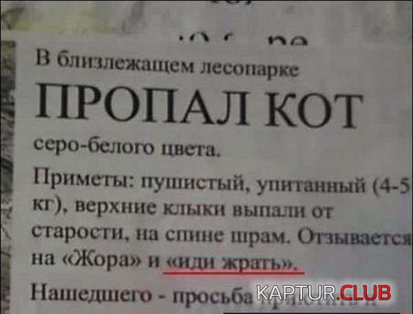 1365672508_podborka_38.jpg | Рено Каптур Клуб Россия | Форум KAPTUR.SU
