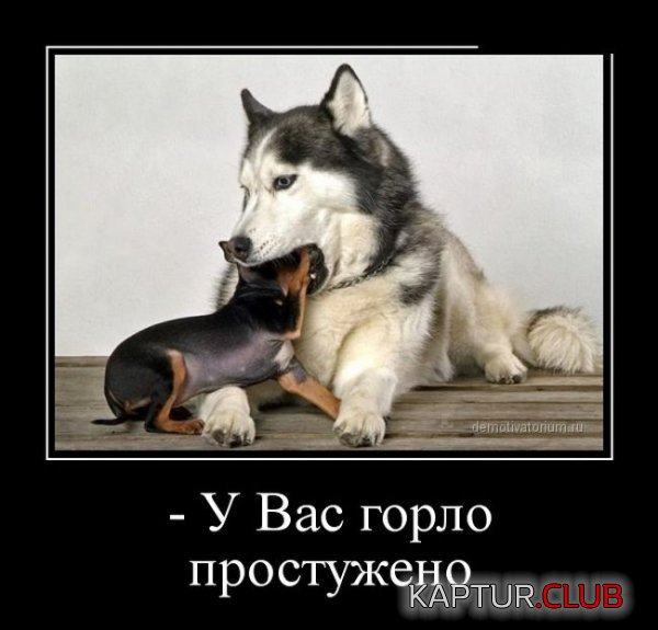 1365750755_demotivatory_30.jpg | Рено Каптур Клуб Россия | Форум KAPTUR.SU