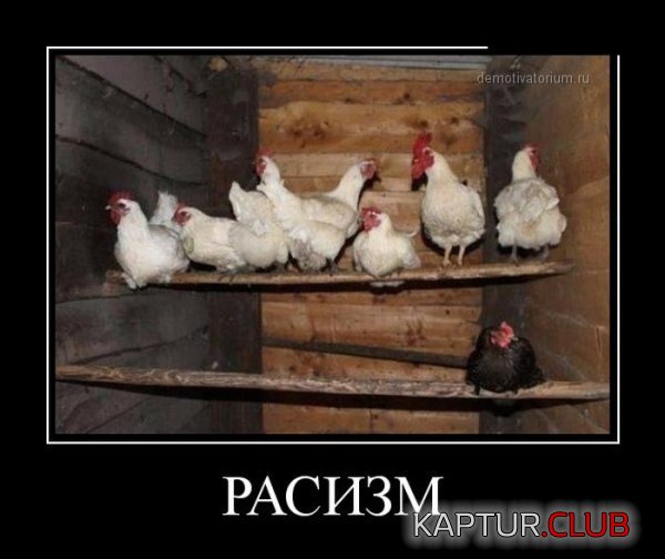 1366188513_demotivatory_16.jpg | Рено Каптур Клуб Россия | Форум KAPTUR.SU