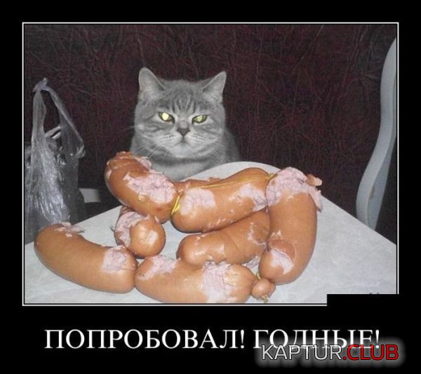 1366368240_demotivatory_16.jpg | Рено Каптур Клуб Россия | Форум KAPTUR.SU