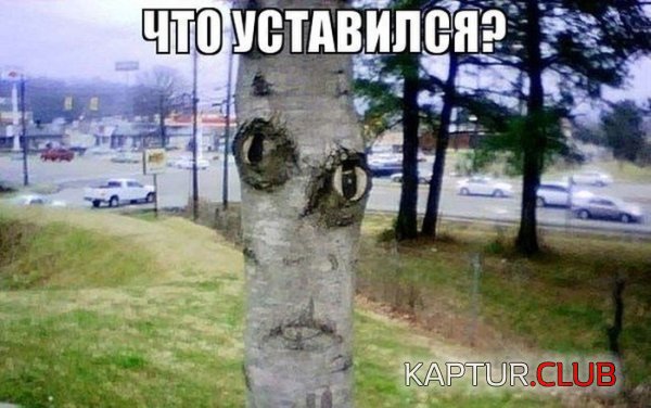 1366698530_podb_04.jpg | Рено Каптур Клуб Россия | Форум KAPTUR.SU