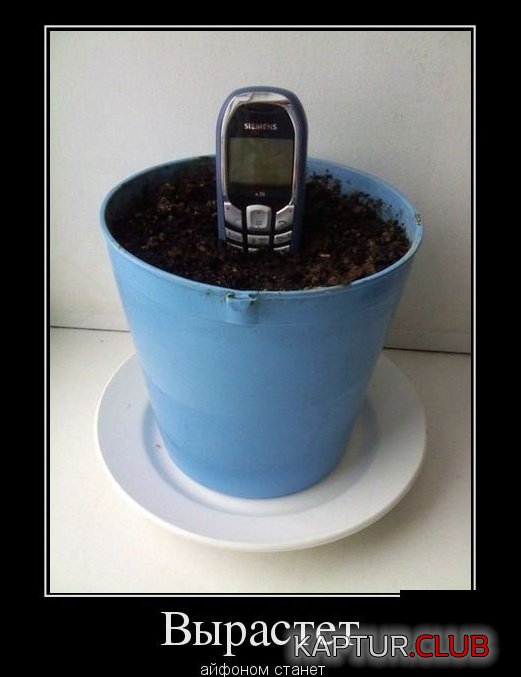 1366792819_demotivatory_04.jpg | Рено Каптур Клуб Россия | Форум KAPTUR.SU