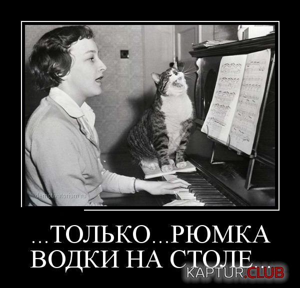 1366958881_demotivators_02.jpg | Рено Каптур Клуб Россия | Форум KAPTUR.SU