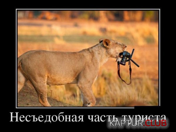 1367225434_demotivatory_23.jpg | Рено Каптур Клуб Россия | Форум KAPTUR.SU