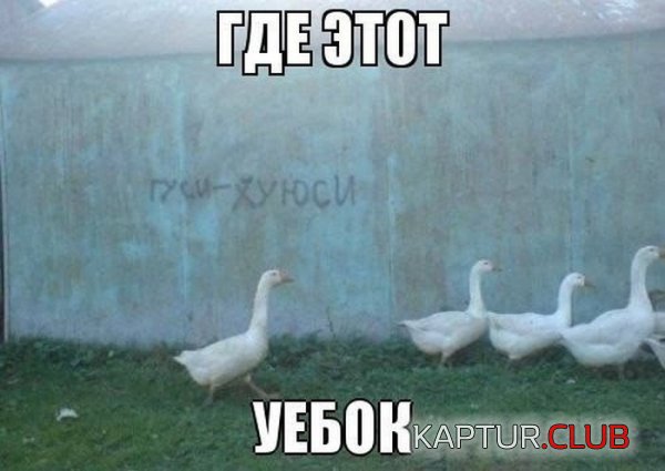 1367225590_podb_06.jpg | Рено Каптур Клуб Россия | Форум KAPTUR.SU