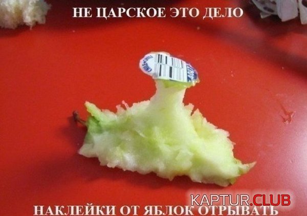 1367571105_podb_03.jpg | Рено Каптур Клуб Россия | Форум KAPTUR.SU