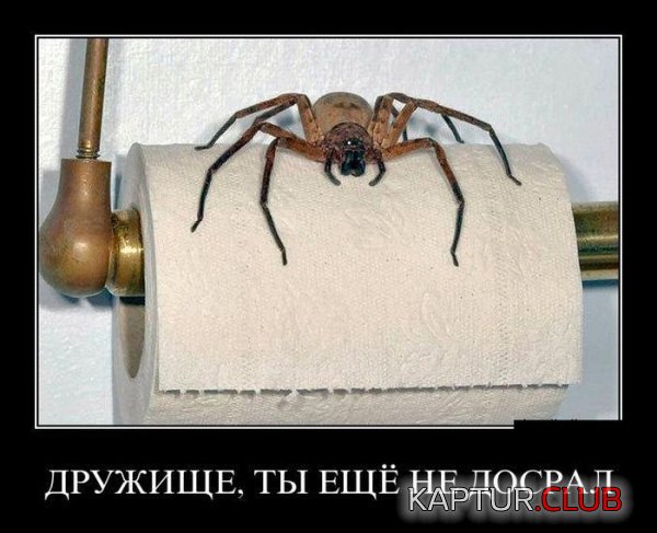 1368777929_demotivatory_17.jpg | Рено Каптур Клуб Россия | Форум KAPTUR.SU