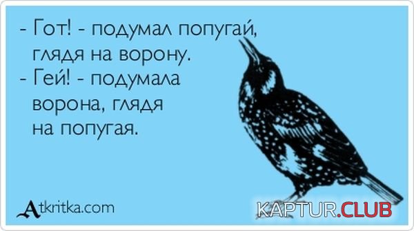 1369035507_atkritka_04.jpg | Рено Каптур Клуб Россия | Форум KAPTUR.SU