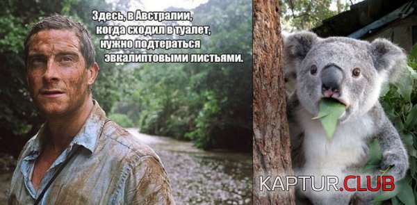 1369141565_podborka_53.jpg | Рено Каптур Клуб Россия | Форум KAPTUR.SU