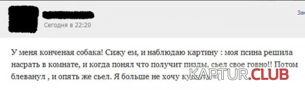 1369300880_podborka_35.jpg | Рено Каптур Клуб Россия | Форум KAPTUR.SU