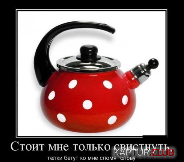 1369380504_demotivatory_30.jpg | Рено Каптур Клуб Россия | Форум KAPTUR.SU