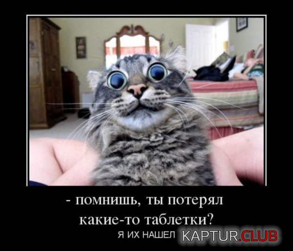 1369643728_demotivatory_16.jpg | Рено Каптур Клуб Россия | Форум KAPTUR.SU
