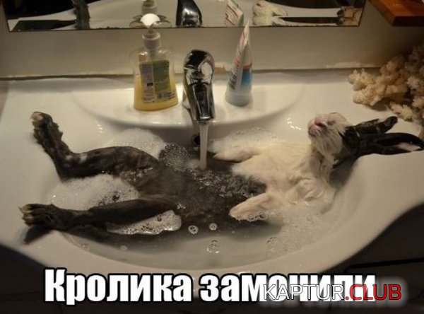 1370007855_podb_03.jpg | Рено Каптур Клуб Россия | Форум KAPTUR.SU