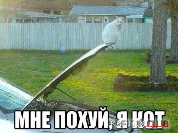 1370250039_podbork_06.jpg | Рено Каптур Клуб Россия | Форум KAPTUR.SU