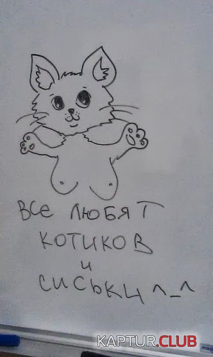 1370507506_marazm_41.jpg | Рено Каптур Клуб Россия | Форум KAPTUR.SU