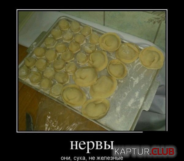 1371548531_demotivatory_06.jpg | Рено Каптур Клуб Россия | Форум KAPTUR.SU