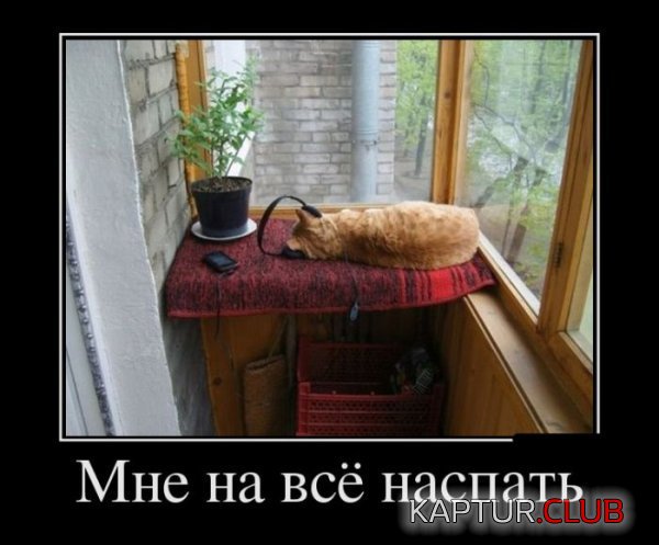 1371548630_demotivatory_13.jpg | Рено Каптур Клуб Россия | Форум KAPTUR.SU