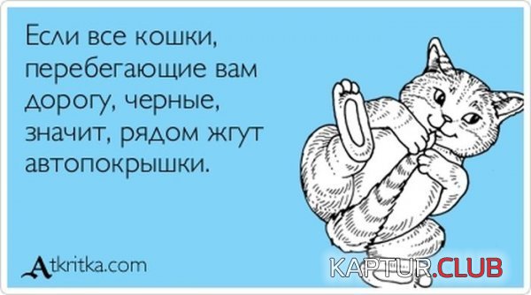 1371631526_atkritka_26.jpg | Рено Каптур Клуб Россия | Форум KAPTUR.SU