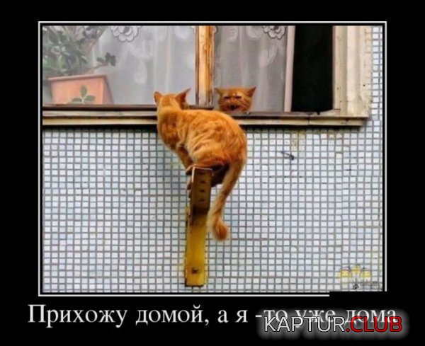 1372236335_demotivatory_22.jpg | Рено Каптур Клуб Россия | Форум KAPTUR.SU