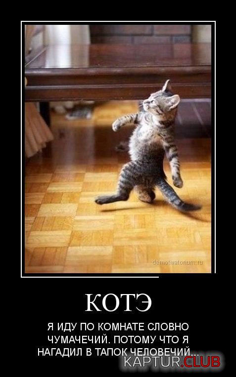 1372322607_demotivatory_02.jpg | Рено Каптур Клуб Россия | Форум KAPTUR.SU
