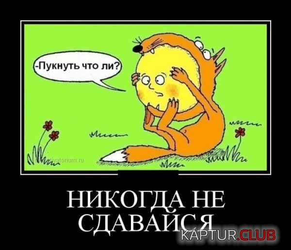 1372322727_demotivatory_11.jpg | Рено Каптур Клуб Россия | Форум KAPTUR.SU