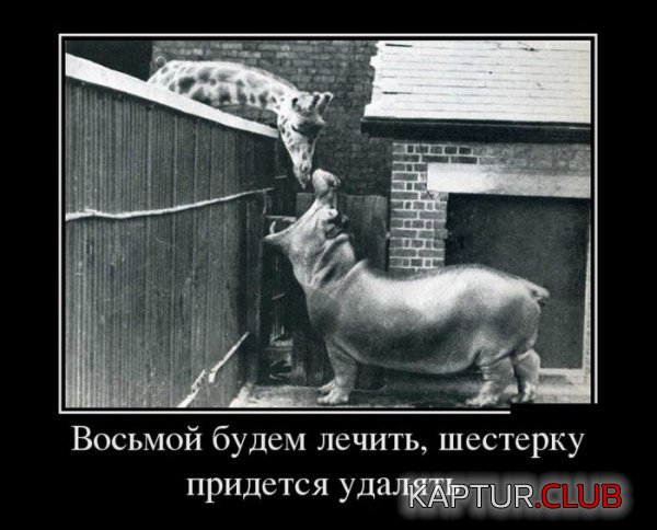 1372401928_demotivatory_25.jpg | Рено Каптур Клуб Россия | Форум KAPTUR.SU