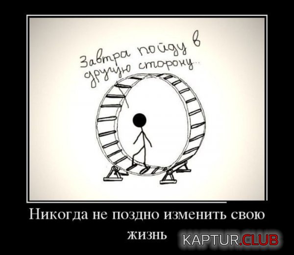1372681792_demotivatory_18.jpg | Рено Каптур Клуб Россия | Форум KAPTUR.SU