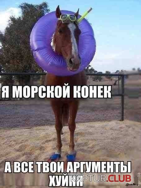 1372682584_podborka_04.jpg | Рено Каптур Клуб Россия | Форум KAPTUR.SU