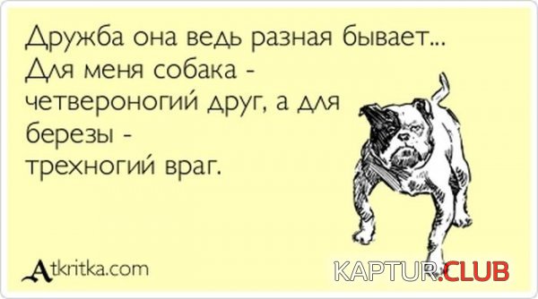 1372749545_atkritka_19.jpg | Рено Каптур Клуб Россия | Форум KAPTUR.SU