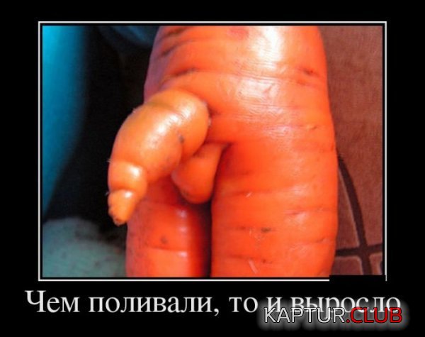 1372837027_demotivatory_11.jpg | Рено Каптур Клуб Россия | Форум KAPTUR.SU