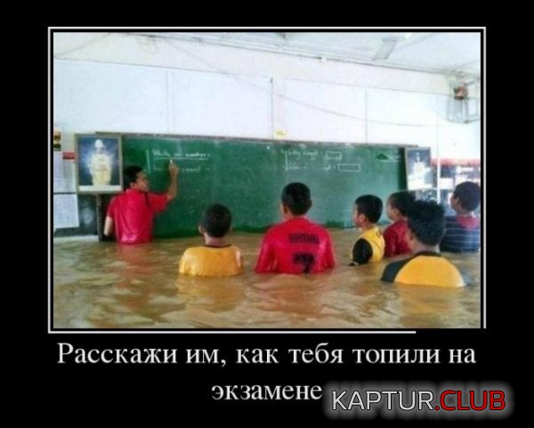 1372837044_demotivatory_10.jpg | Рено Каптур Клуб Россия | Форум KAPTUR.SU