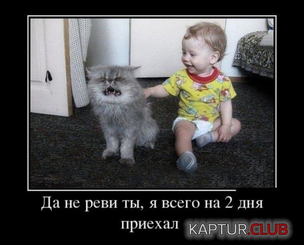 1373610505_demotivatory_27.jpg | Рено Каптур Клуб Россия | Форум KAPTUR.SU