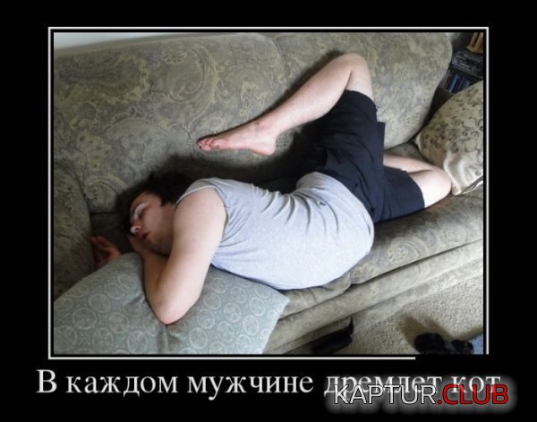 1373873953_demotivatory_02.jpg | Рено Каптур Клуб Россия | Форум KAPTUR.SU