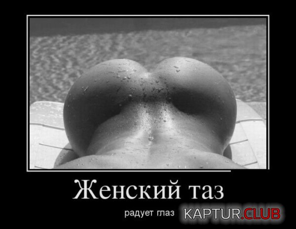1373978916_demotivatory_04.jpg | Рено Каптур Клуб Россия | Форум KAPTUR.SU
