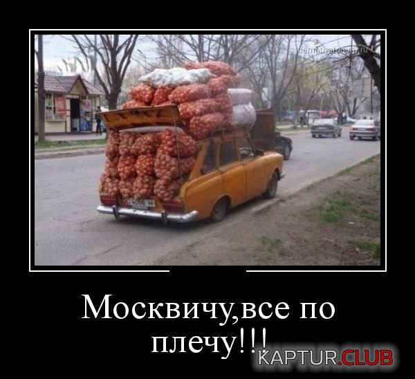 1374827642_demotivatory_10.jpg | Рено Каптур Клуб Россия | Форум KAPTUR.SU