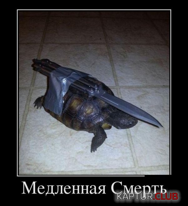 1375172847_demotivatory_13.jpg | Рено Каптур Клуб Россия | Форум KAPTUR.SU
