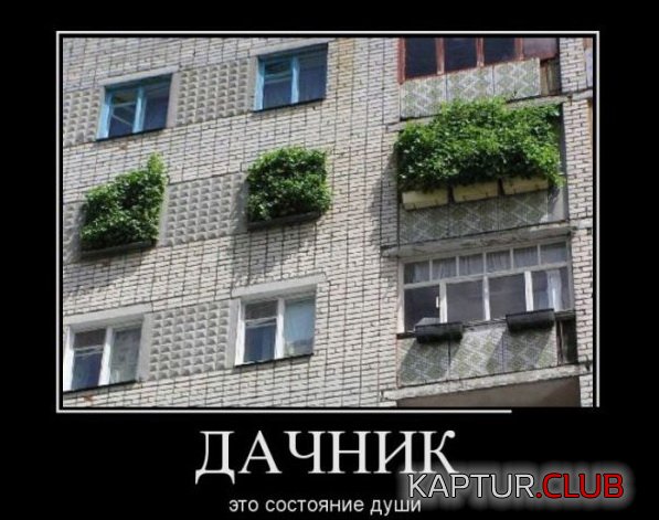 1375258406_demotivatory_09.jpg | Рено Каптур Клуб Россия | Форум KAPTUR.SU