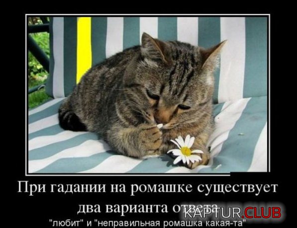1375346816_demotivatory_04.jpg | Рено Каптур Клуб Россия | Форум KAPTUR.SU
