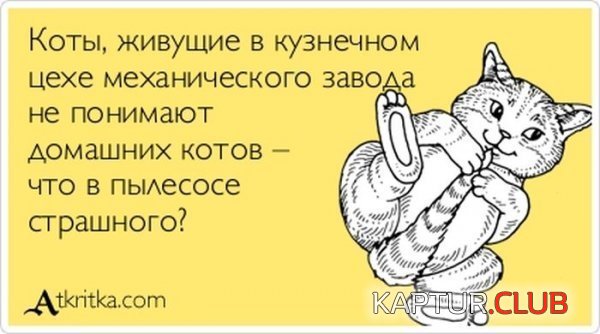 1375429061_atkritka_12.jpg | Рено Каптур Клуб Россия | Форум KAPTUR.SU