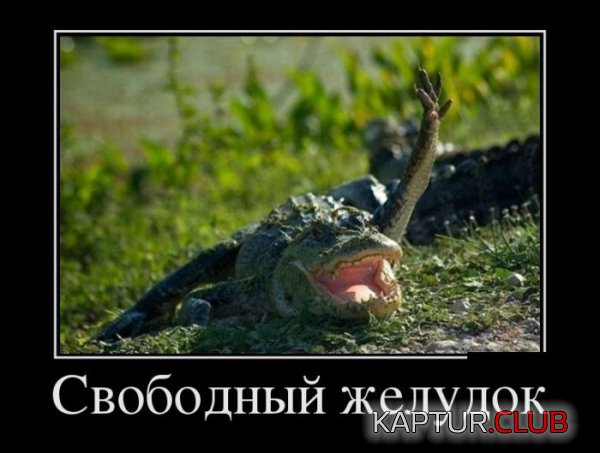 1375952515_demotivatory_10.jpg | Рено Каптур Клуб Россия | Форум KAPTUR.SU