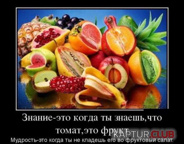 1375952525_demotivatory_11.jpg | Рено Каптур Клуб Россия | Форум KAPTUR.SU