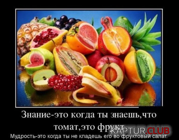 1375952525_demotivatory_11.jpg | Рено Каптур Клуб Россия | Форум KAPTUR.SU